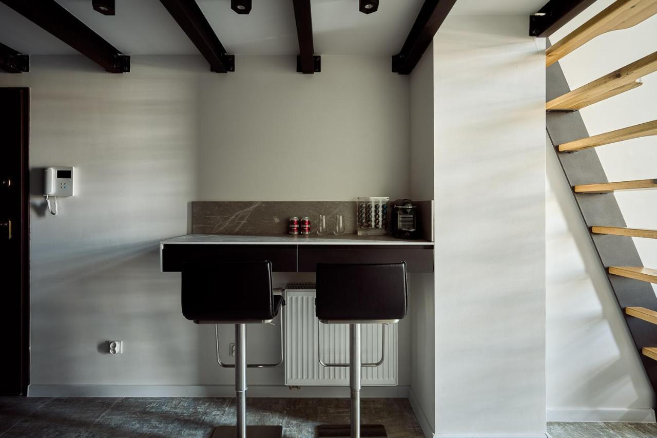 Kameralny Loft Z Widokiem Na Odre Apartment
